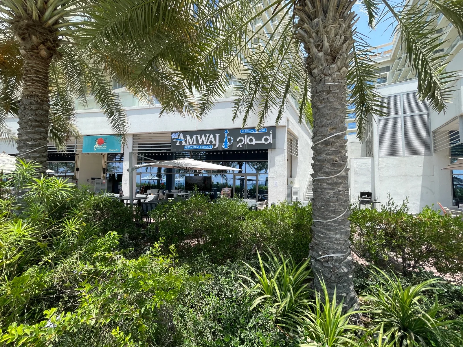 Amwaj café surrounded by palms at Pacific on Al Marjan Island
